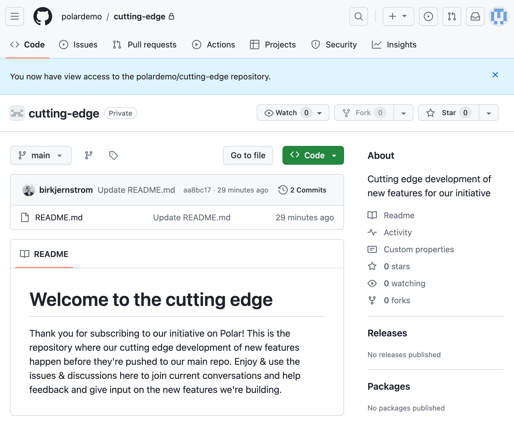 Subscriber seeing the repository on GitHub